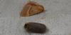 Lasiocampa quercus